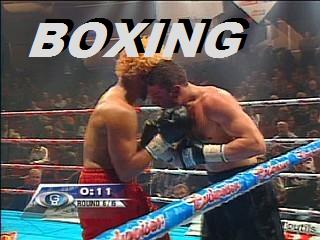 boxing feeds
