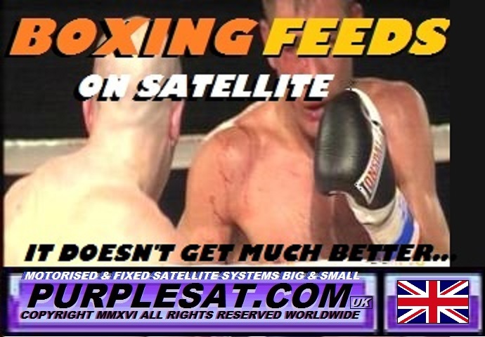 boxing satellite feeds purplesat