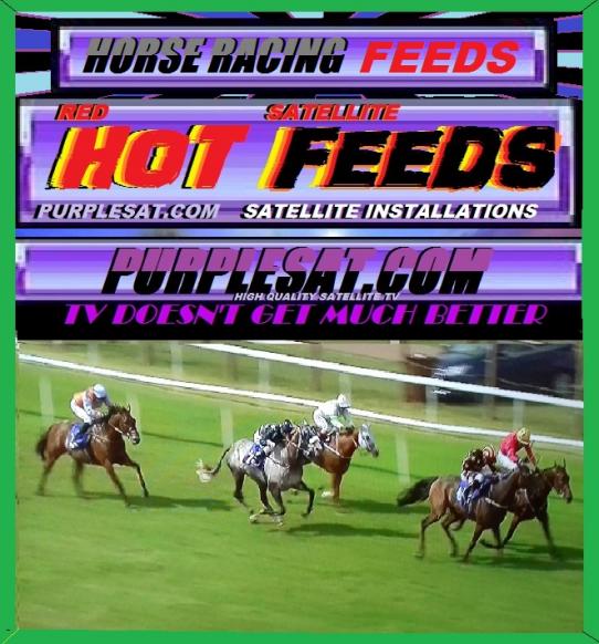 HORSE RACING FAST FEEDS PURPLESAT